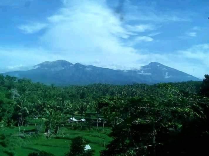 Girang Rinjani Bungalows تيتيباتو المظهر الخارجي الصورة