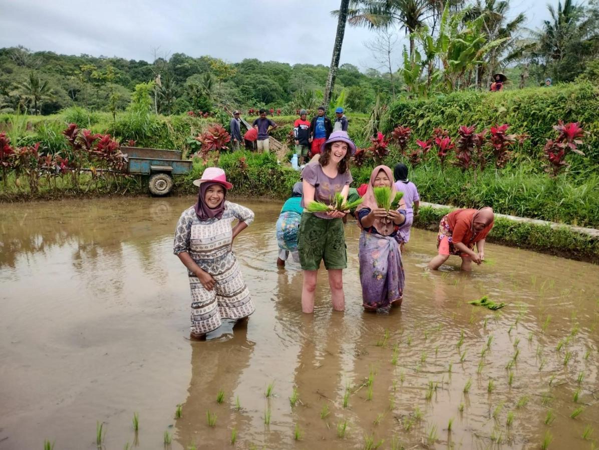 Girang Rinjani Bungalows تيتيباتو المظهر الخارجي الصورة
