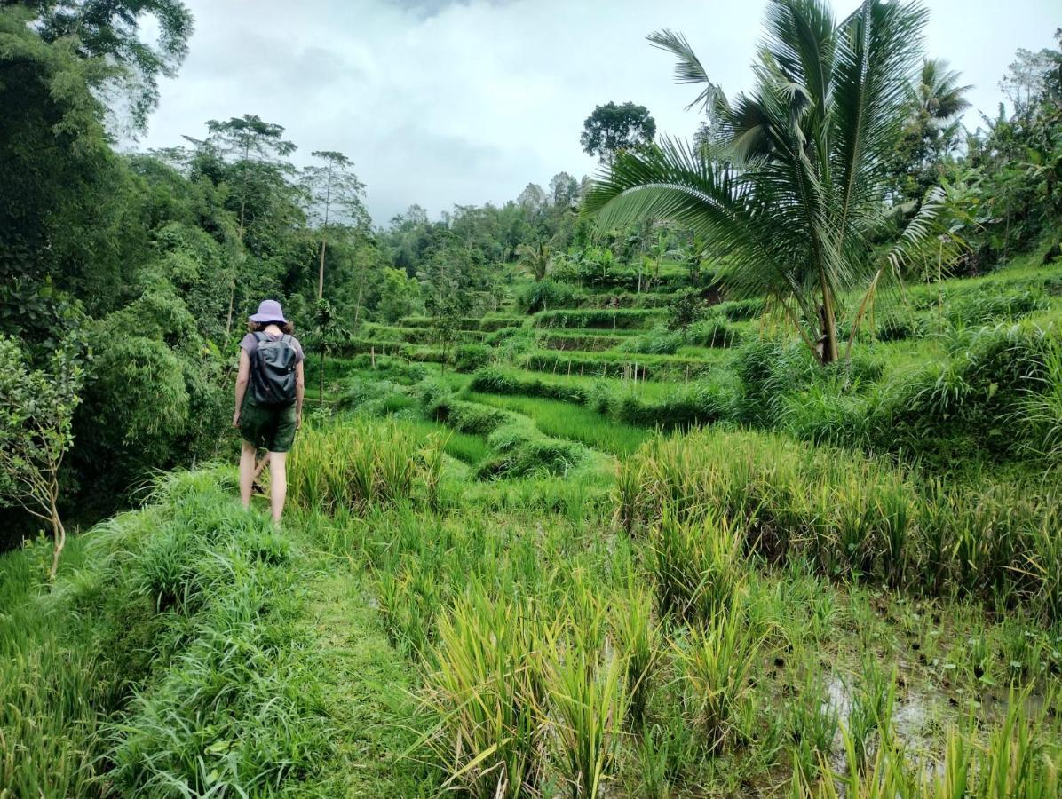 Girang Rinjani Bungalows تيتيباتو المظهر الخارجي الصورة