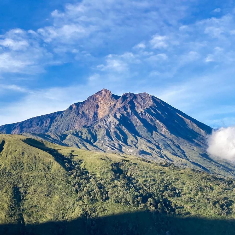 Girang Rinjani Bungalows تيتيباتو المظهر الخارجي الصورة