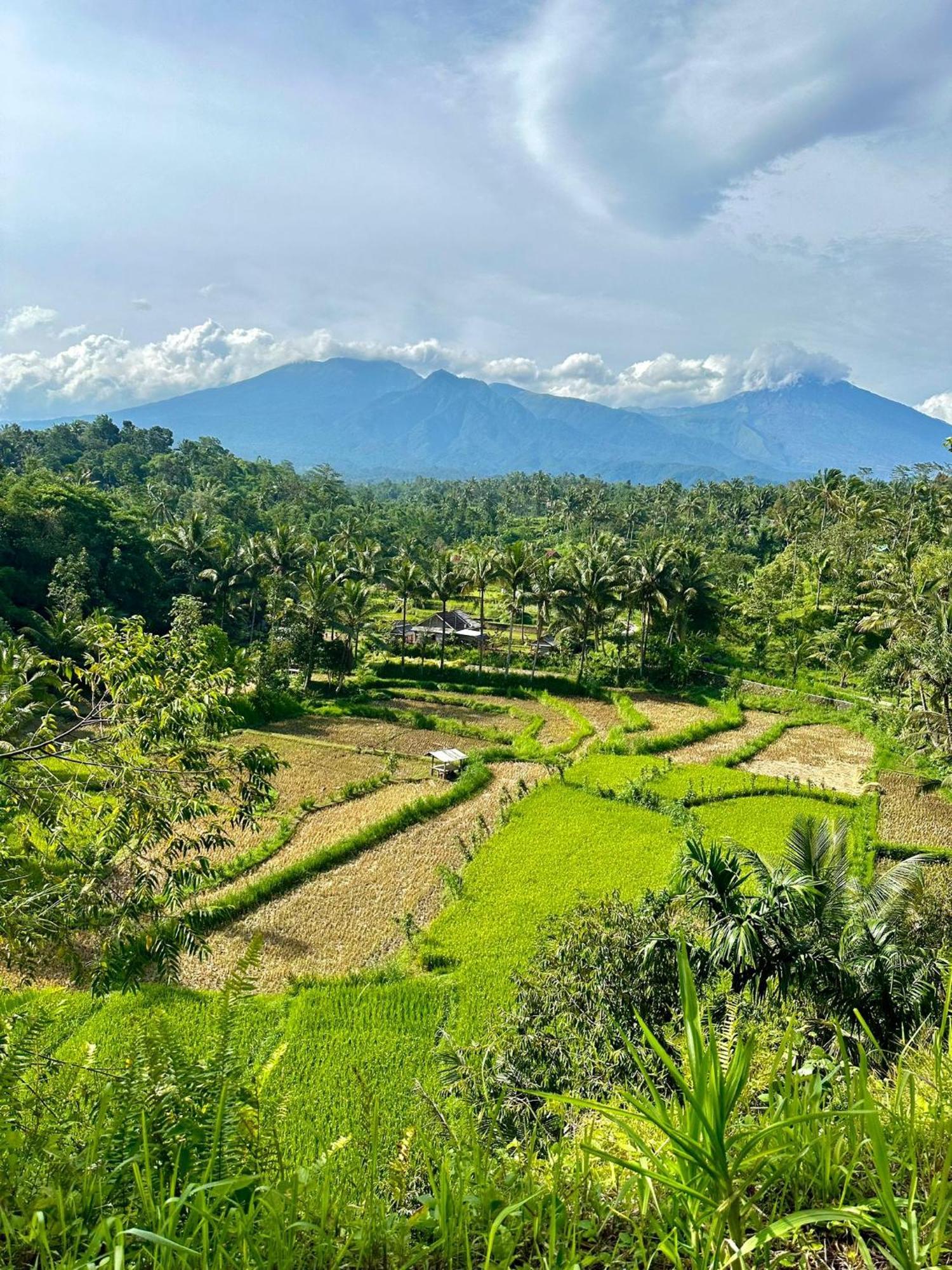 Girang Rinjani Bungalows تيتيباتو المظهر الخارجي الصورة