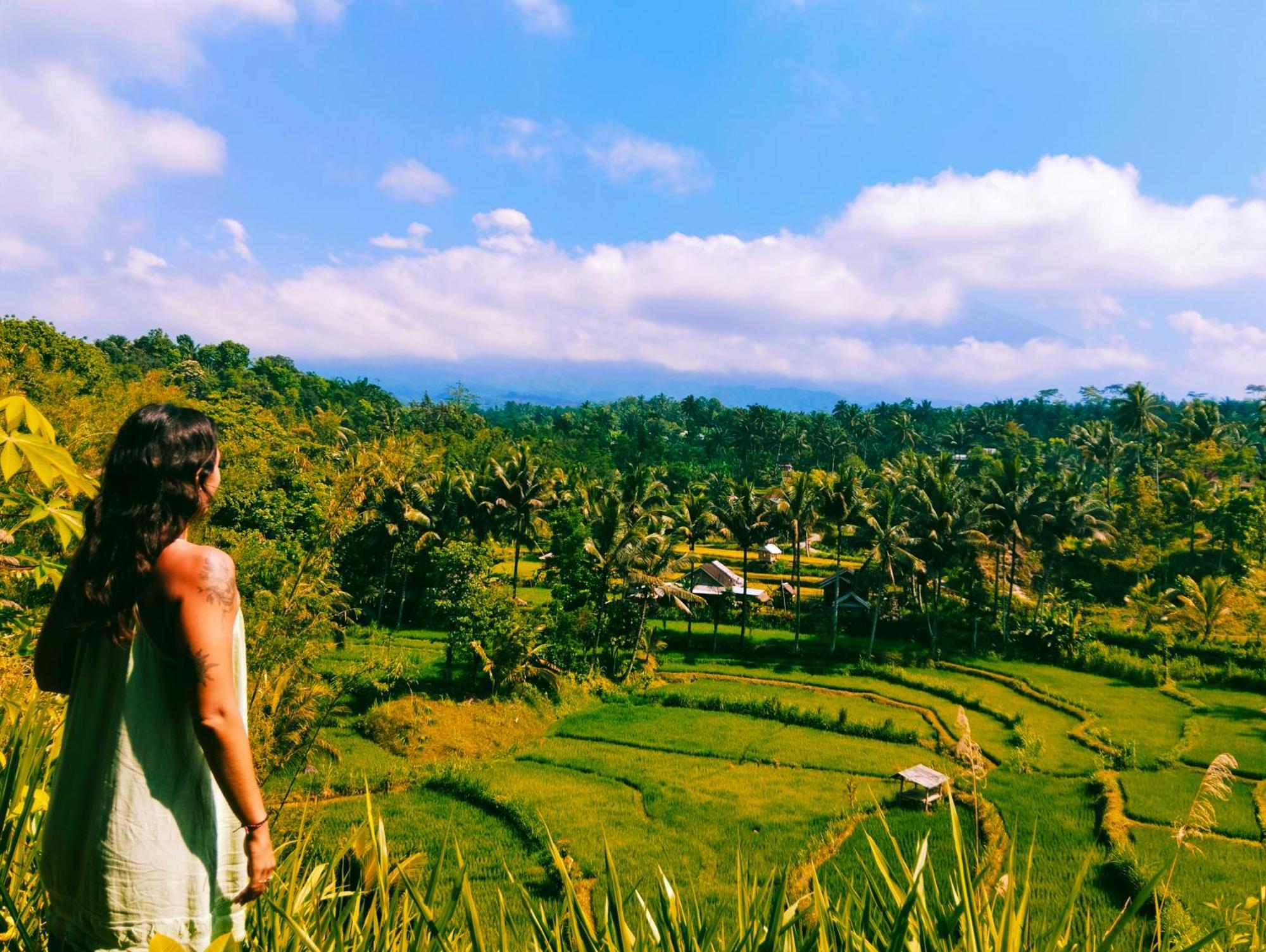 Girang Rinjani Bungalows تيتيباتو المظهر الخارجي الصورة