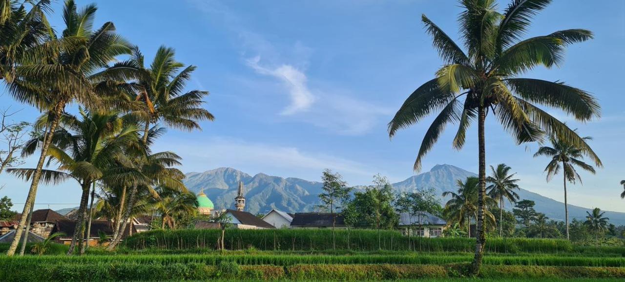 Girang Rinjani Bungalows تيتيباتو المظهر الخارجي الصورة