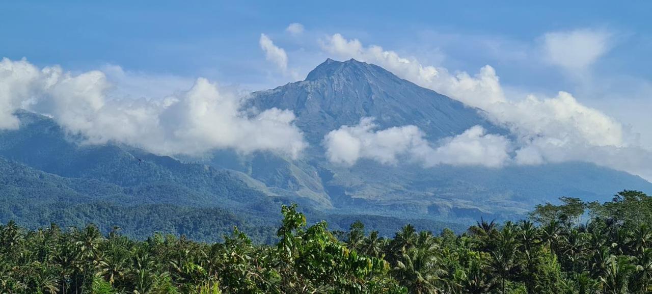Girang Rinjani Bungalows تيتيباتو المظهر الخارجي الصورة