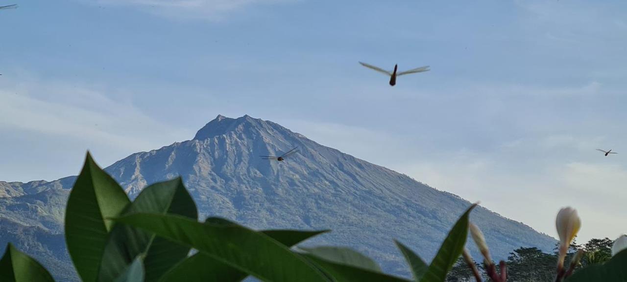 Girang Rinjani Bungalows تيتيباتو المظهر الخارجي الصورة